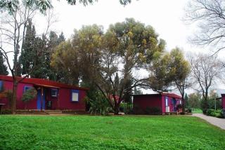 Holiday Village Kibbutz Mizra - Mizra‘ - 1