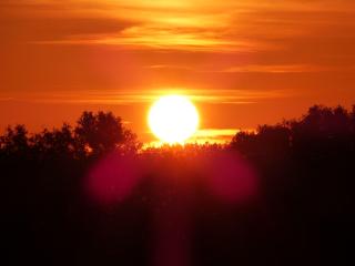 Zum Froschteich - Damnatz - 2