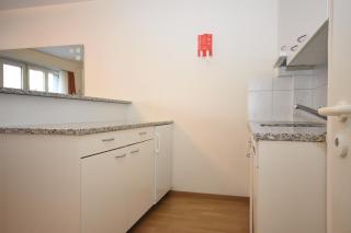 Nice 1BR flat in the city center - Crown 3 - Zurigo - 6