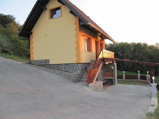 Holiday Home Češnovar - Raka - 8
