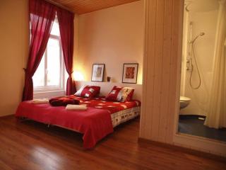 Hôtel Garni Villa Carmen - La Neuveville - 5