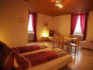 Hôtel Garni Villa Carmen - La Neuveville - 2