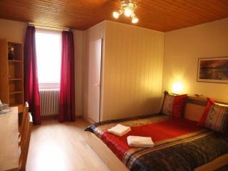 Hôtel Garni Villa Carmen - La Neuveville - 1