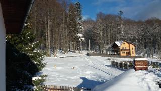 Apartament La poteca ursului - 9