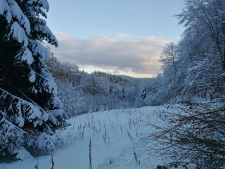 Taunusblick-Meißner - Schmitten - 1