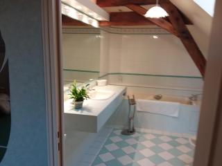 LE MOULIN DE MERAL - Montsûrs - 6