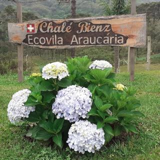 Chalé Bienz - Hospedagem Rural - Urubici - 8