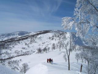 Togari Onsen Alpen Plaza - Iiyama - 3