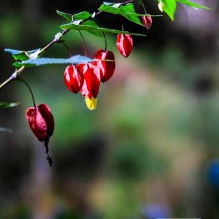 La Casona Del Retiro - 3