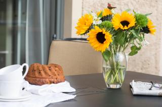 Der Landhof Sonnenblume - Stolpe - 9