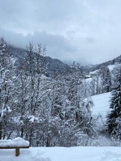 Chalet Soleya - Le Grand-Bornand - 5