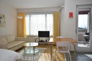 Very central & bright studio - Vineyard 51 - Zurigo - 0