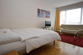 Spacious studio with balcony - Vineyard 71 - Zurigo - 4