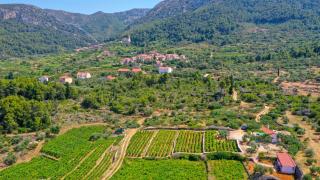 Vineyard Paradise House Pitve - Pitve - 8