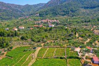 Vineyard Paradise House Pitve - Pitve - 9