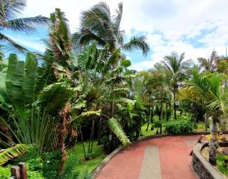 Loc974 Les Cocotiers - Saint-Leu - 8