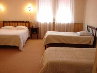 Hotel Spa Le Relais Des Moines - 1