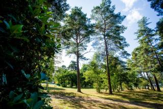 Naturcamping Lüneburger Heide - Chalets & Tiny Häuser - Soltau - 3