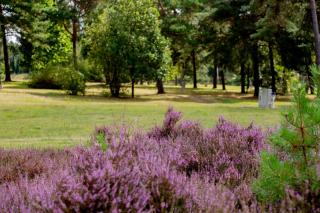 Naturcamping Lüneburger Heide - Chalets & Tiny Häuser - Soltau - 4