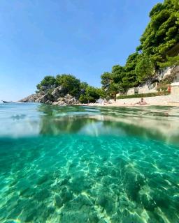 RUŽA - Makarska - 5