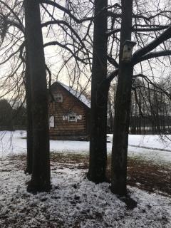 Baublys Lake Lodge - 6