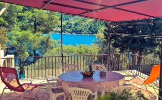 Seafront Apartment Dana - Vela Luka - 0