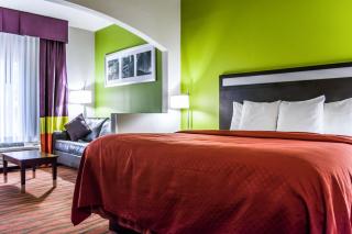Quality Suites Fort Myers I-75 - 9
