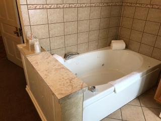 Stearns Hotel - Ludington - 4