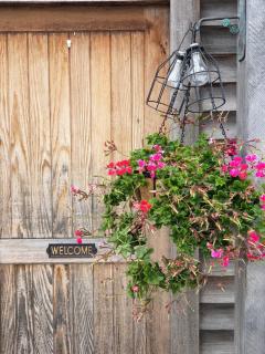 DDOG Vineyard & BnB - Renwick - 2