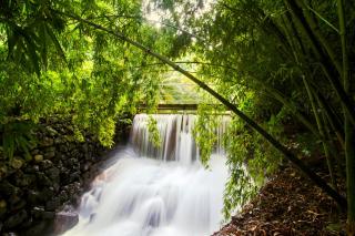 Quinta da Mo - Furnas - 8