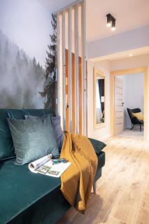 Apartament "Nosal" Droga na bystre Zakopane - Zakopane - 3