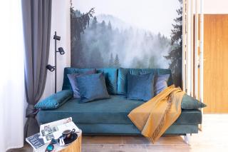 Apartament "Nosal" Droga na bystre Zakopane - Zakopane - 2