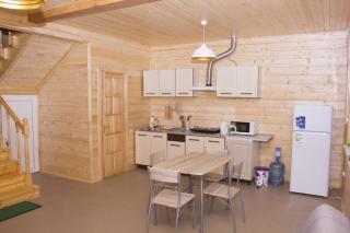 Cottage in Sosnovom Boru - 2