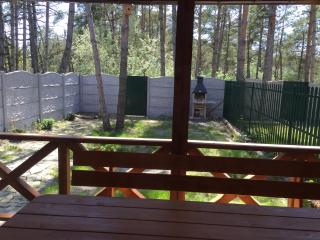 Cottage in Sosnovom Boru - 7