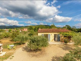 Detached home near the truffle capital of Aups - Aups - 5