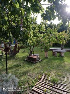 Calafate Viejo Hostel - 5