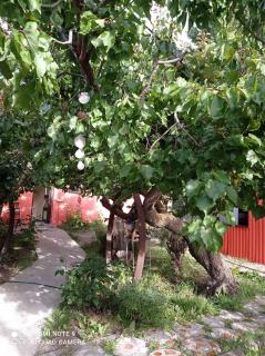 Calafate Viejo Hostel - 6