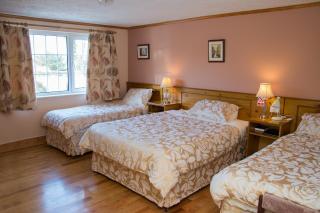 Algret House B&B - Killarney - 9