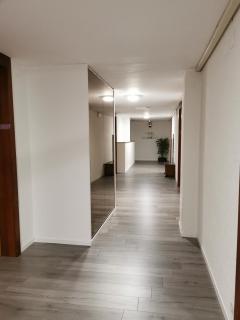 Hotel Fleur-de-Lys - La Chaux-de-Fonds - 8
