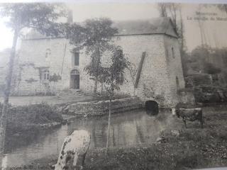 LE MOULIN DE MERAL - Montsûrs - 7