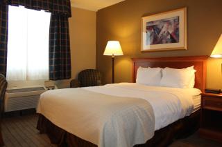 Holiday Inn Alexandria by IHG - Alexandria - 9
