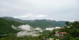 Sparrow Woods Eco Resort - 3