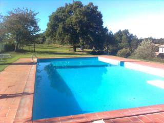 Agriturismo Il Cornalino - Castel Viscardo - 7
