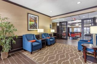 Comfort Inn & Suites Texas Hill Country - Boerne - 8