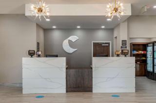 Comfort Suites Greenville Airport - Greenville - 8