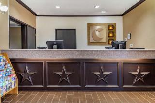 Comfort Inn & Suites Texas Hill Country - Boerne - 7