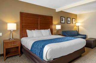 Comfort Inn & Suites Texas Hill Country - Boerne - 5