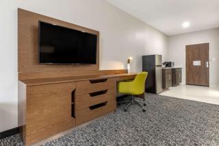 Comfort Suites Greenville Airport - Greenville - 4