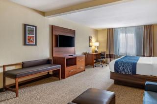 Comfort Inn & Suites Texas Hill Country - Boerne - 4