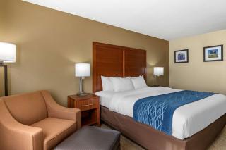 Comfort Inn & Suites Texas Hill Country - Boerne - 2
